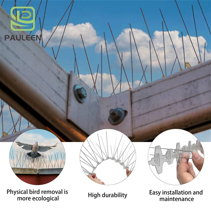 25 cm Eliminate Sanitation Hazards Bird Spike