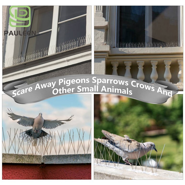 25 cm Eliminate Sanitation Hazards Bird Spike