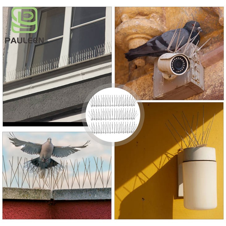 50cm Bird Spikes On Roof Plastic Bird Deterrent Spikes Invisible Anti Bird Spikes 50cm Bird Spikes On Roof Plastic Bird Deterrent Spikes Invisible Anti Bird Spikes