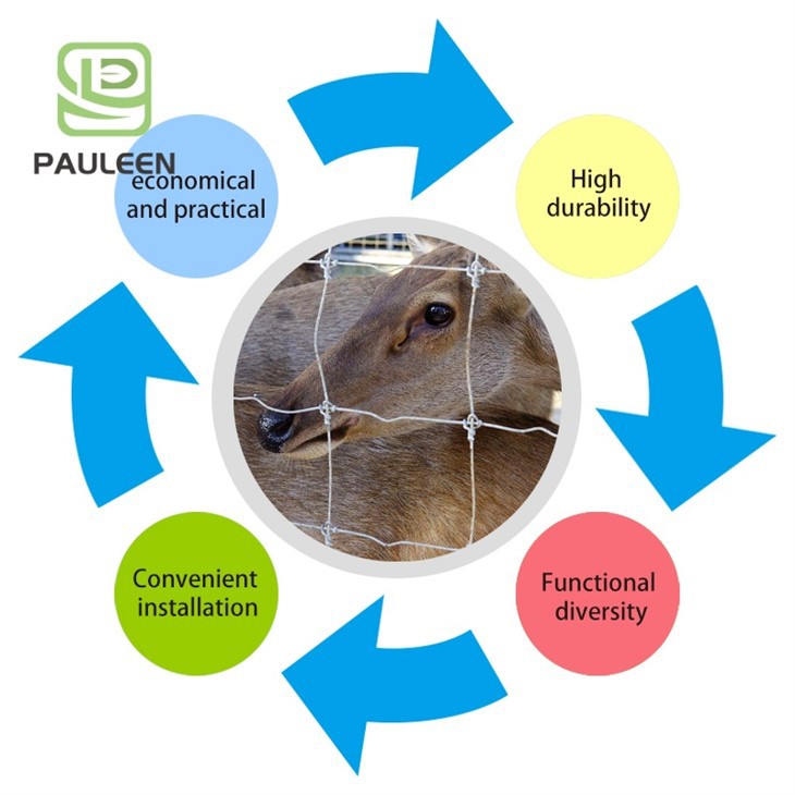 Agricultural Deer Fence suppliers