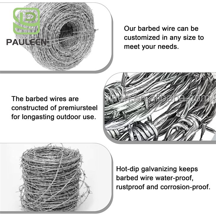 Chain Link Fence with Barbed Wire factory