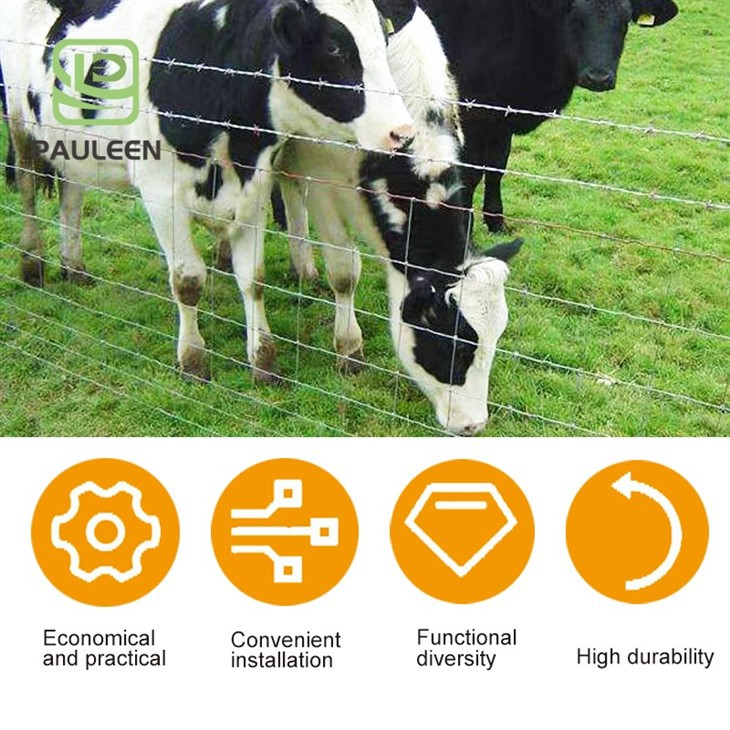 Fixed Knot Steel Deer Farm Fence suppliers Fixed Knot Steel Deer Farm Fence suppliers