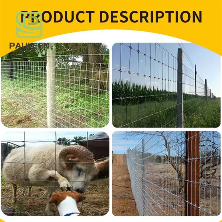 Fixed Knot Steel Deer Farm Fence factory Fixed Knot Steel Deer Farm Fence factory