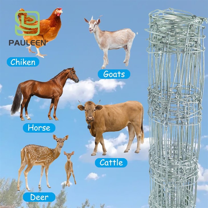 Galvanized Deer Fixed Knot Joints Fence Mesh factory