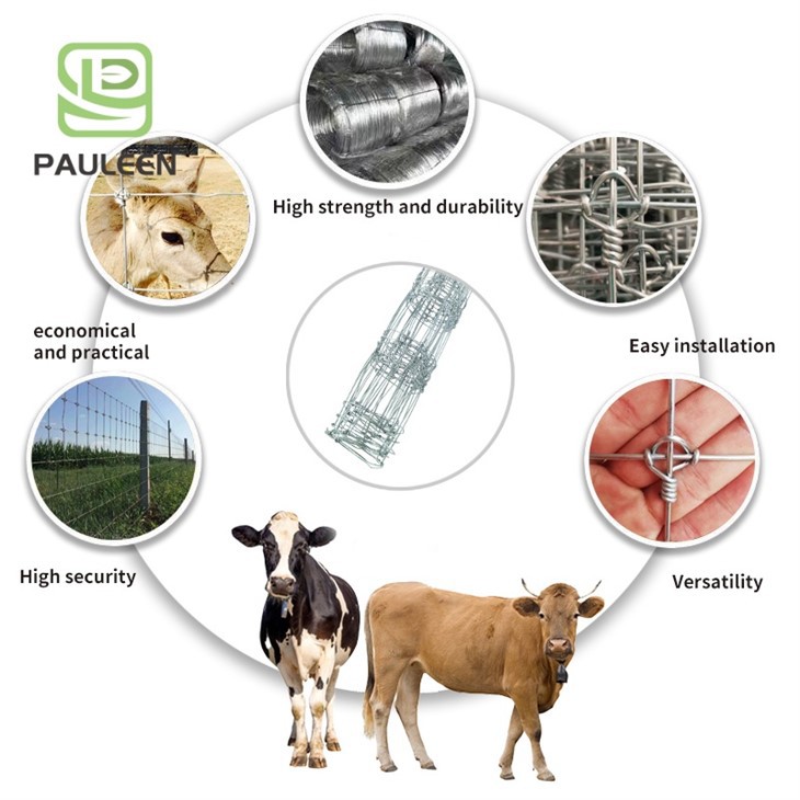 Galvanized Deer Fixed Knot Joints Fence Mesh suppliers