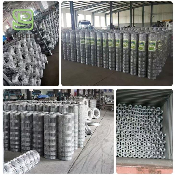 Galvanized Deer Fixed Knot Joints Fence Mesh high quality