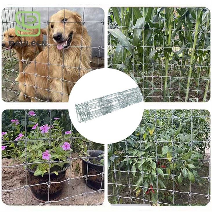 Galvanized Fixed Knot Deer Fence factory
