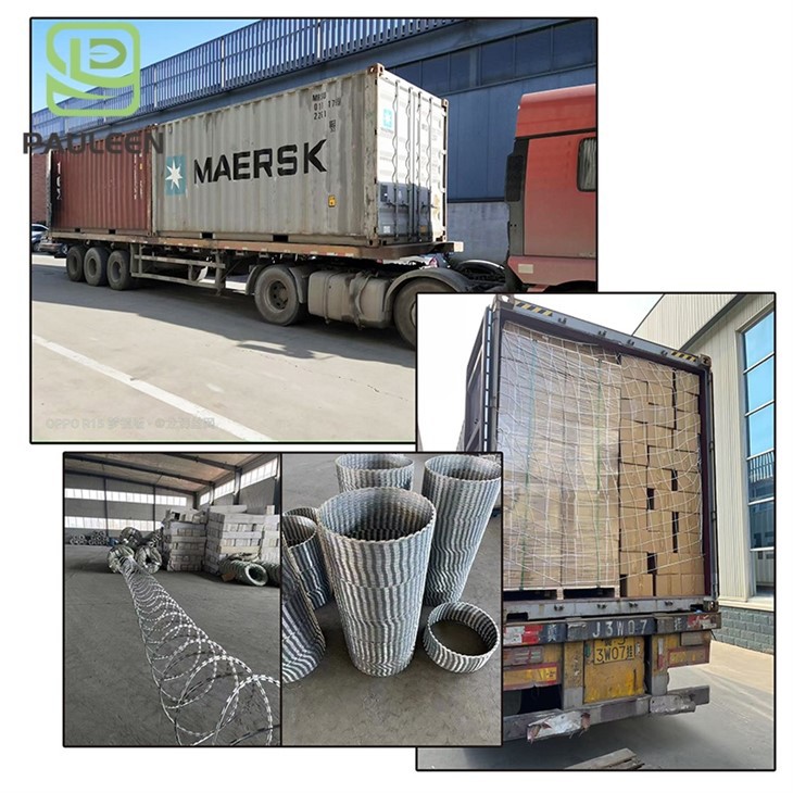 Galvanized Razor Mesh Wire best Galvanized Razor Mesh Wire best