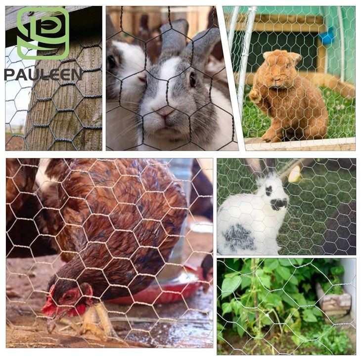 Hexagonal Woven Wire Mesh Gabion best