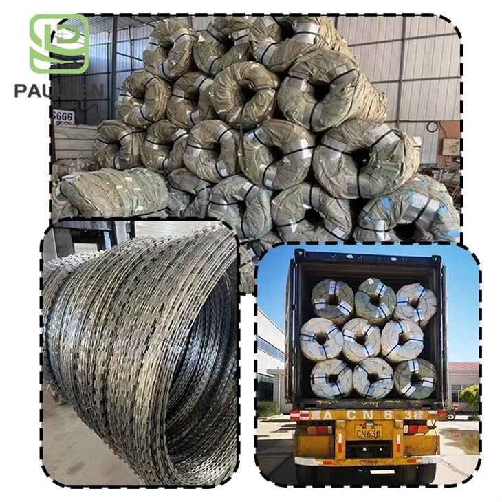 Iron Wire/Blade/Razor Barbed Wire Electro Galvanized Razor Wire high quality Iron Wire/Blade/Razor Barbed Wire Electro Galvanized Razor Wire high quality