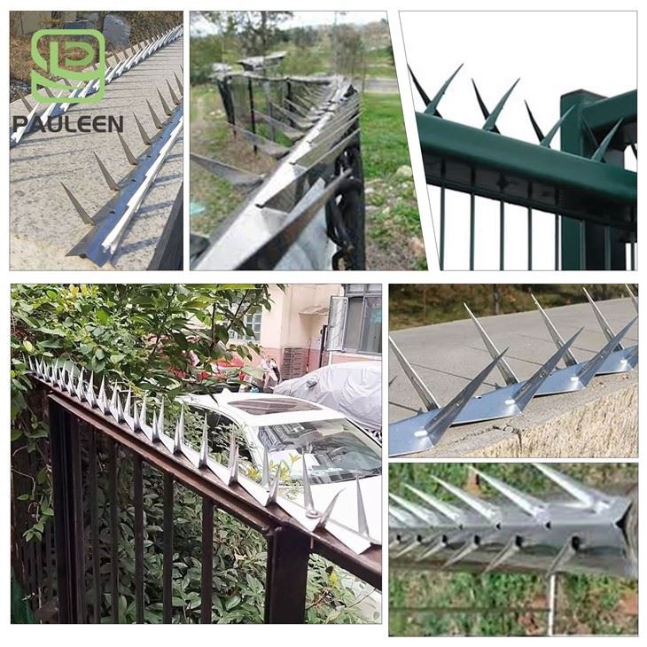 Metal Birds Spikes For Wall best