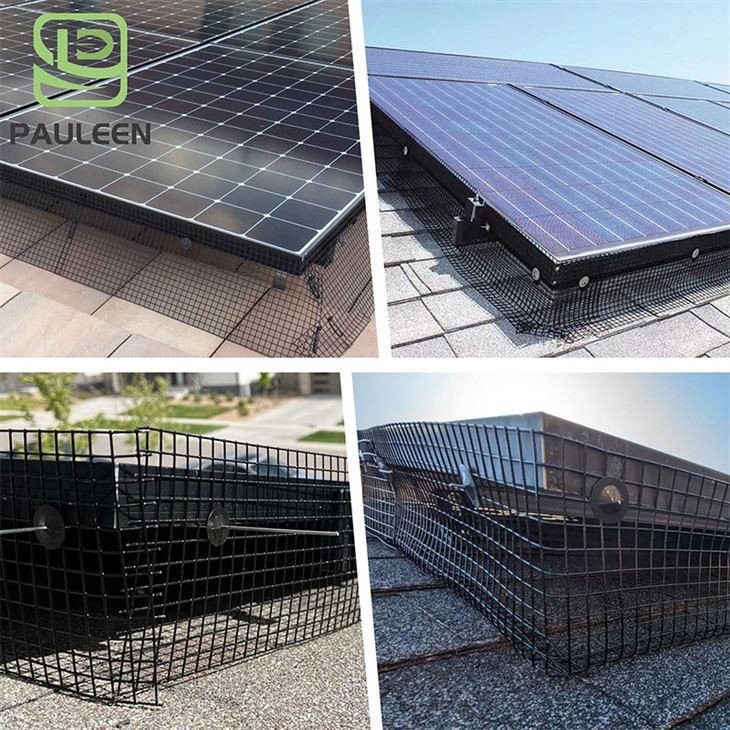 Solar Panel Bird Deterrent