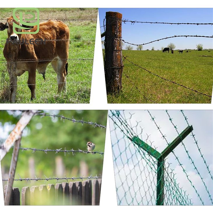Barbed Wire Fencing Roll Barbed Wire Fencing Roll
