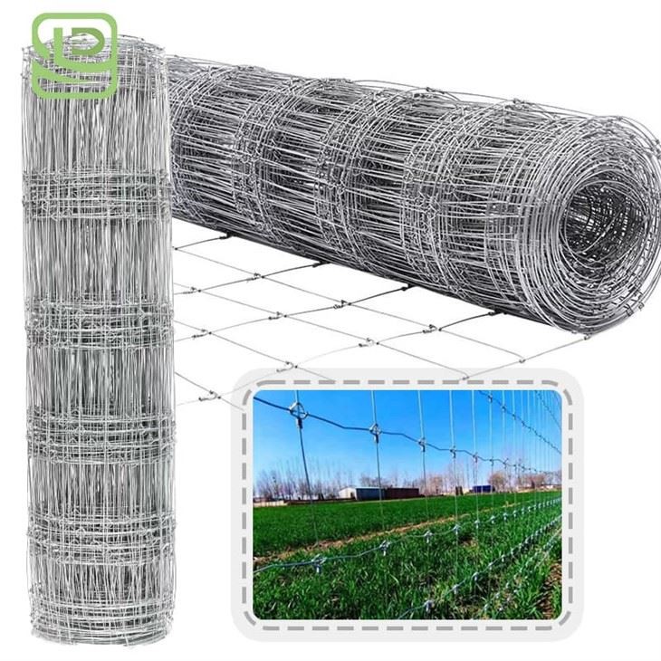Fixed Knot Steel Deer Farm Fence Fixed Knot Steel Deer Farm Fence