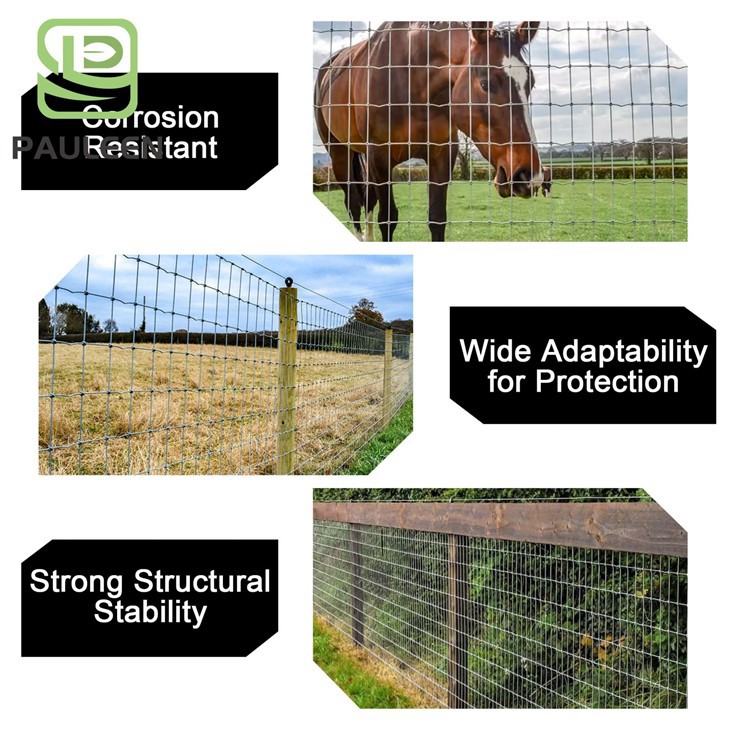 Galvanized Equine Fence factory Galvanized Equine Fence factory