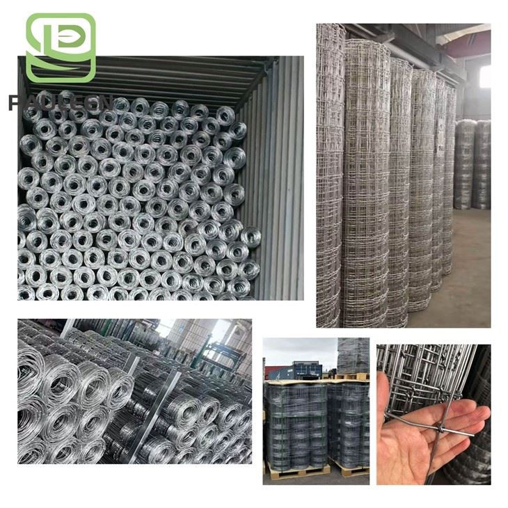 Galvanized Equine Fence price Galvanized Equine Fence price