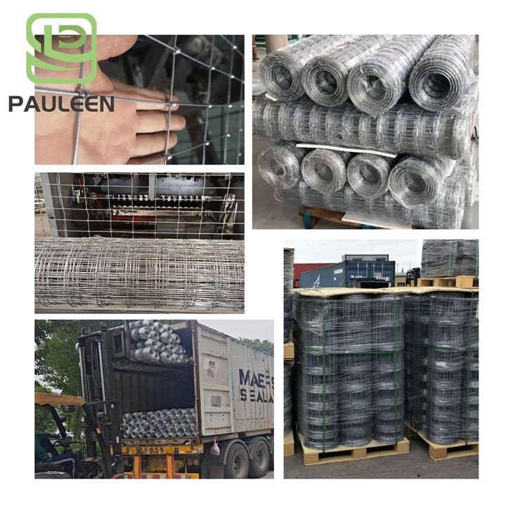 Galvanized Equine Fence high quality Galvanized Equine Fence high quality