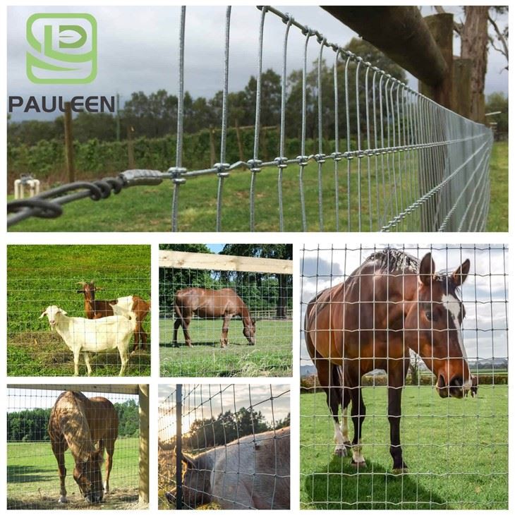 Galvanized Equine Fence best Galvanized Equine Fence best