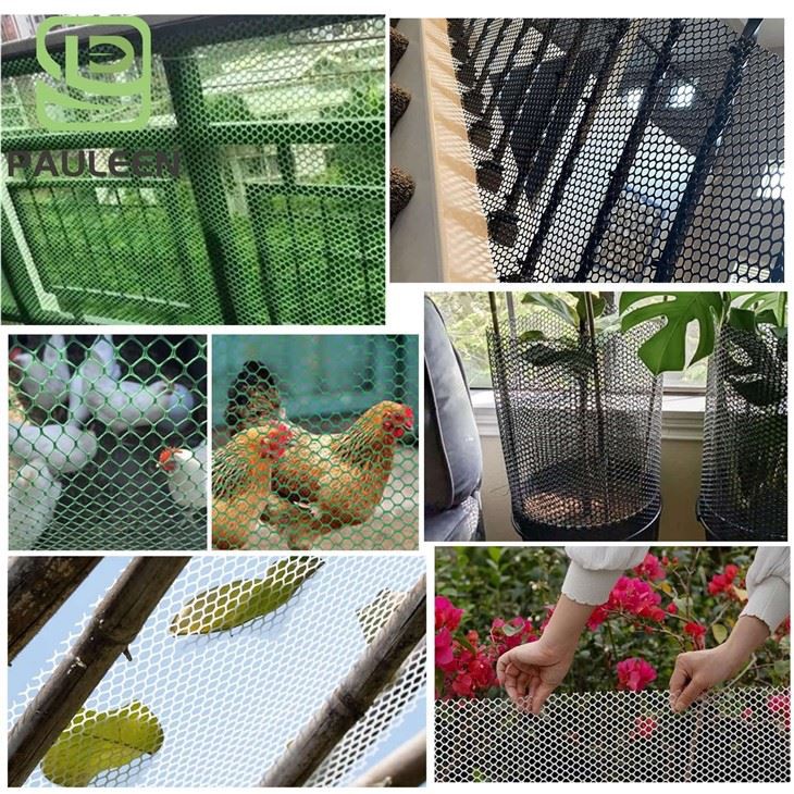 Plastic Product Anti Insect Netting best
