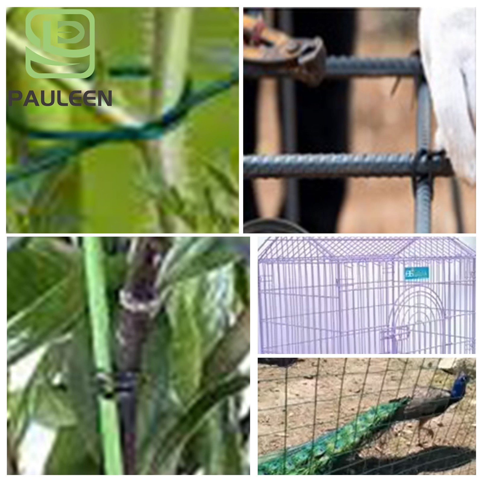 Pvc Coated Galvanized Wire Pvc Coated Galvanized Wire