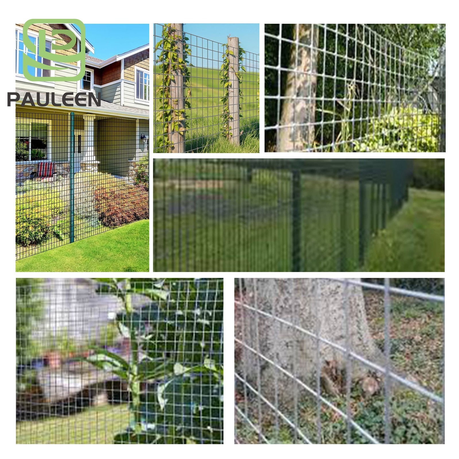Application of Welded Wire Mesh Application of Welded Wire Mesh