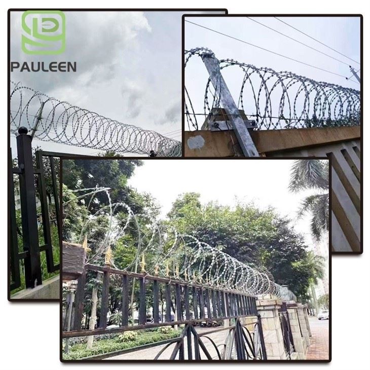 Razor Barbed Wire Mesh Coil Razor Barbed Wire Mesh Coil