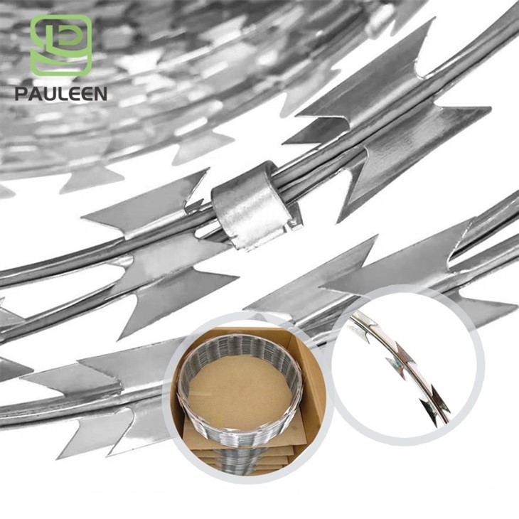 Razor Barbed Wire Mesh