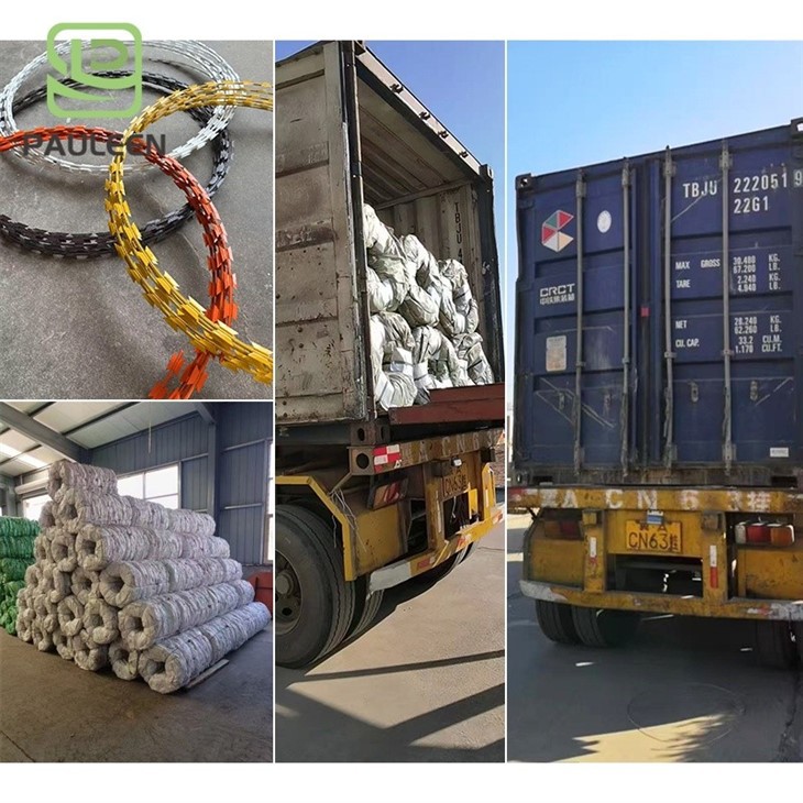 Razor Barbed Wire Mesh