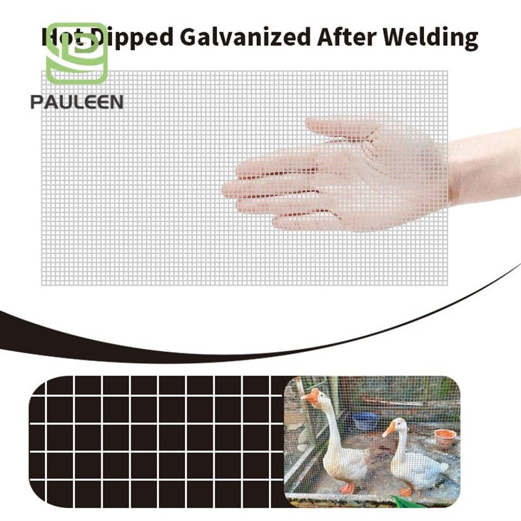 Small Hole Heavy Duty Hardware Cloth