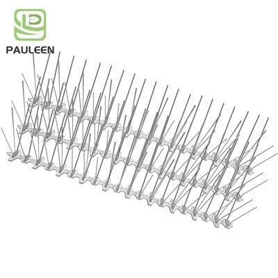 Pecyn pigau adar 50 cm