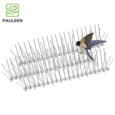 Gwrthryfelwr adar 50cm