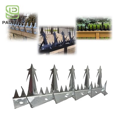 Sbigiau Wal Wrth Dringo