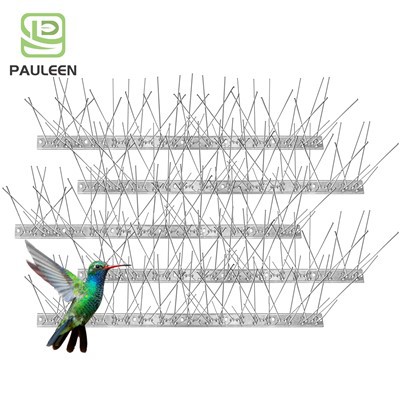 Sbigynnau Gwarchod Adar