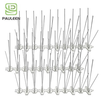 Sylfaen blastig 25cm pigau adar stee di -staen