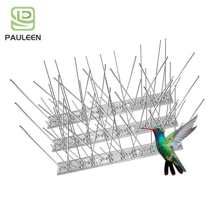 Spikes To Stop Birds Nesting