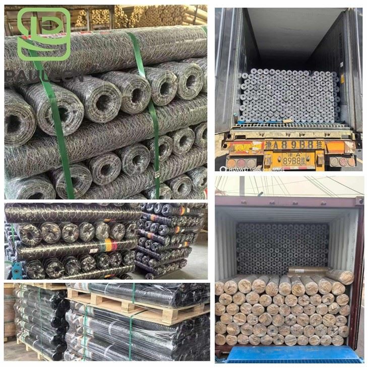 Wire Mesh Netting high quality
